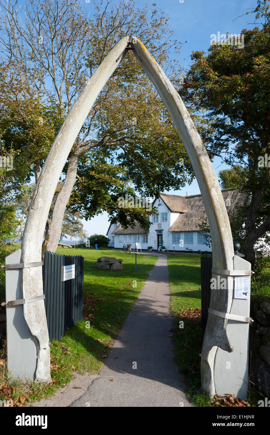 Kieferknochen eines Wals, Keitum, Sylt, Sylter Heimatmuseum, Norden Frisia, Schleswig-Holstein, Deutschland Stockfoto