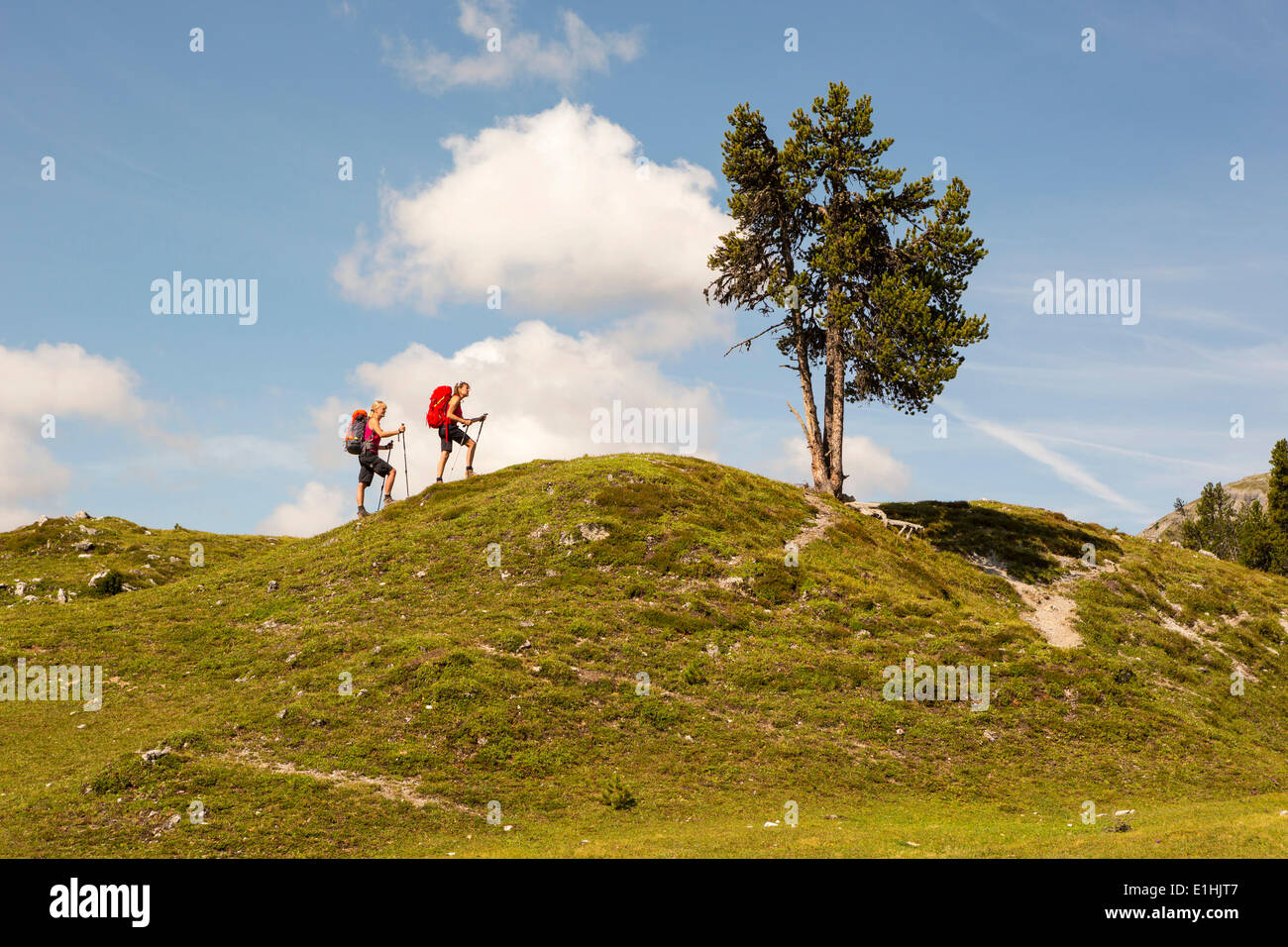 Zwei Frauen wandern, trail vom Fuorn Pass zur Fuorcla Funtana da S-Charl im Val Müstair, Plaun da L'Aua, Schweizer Nationalpark Stockfoto