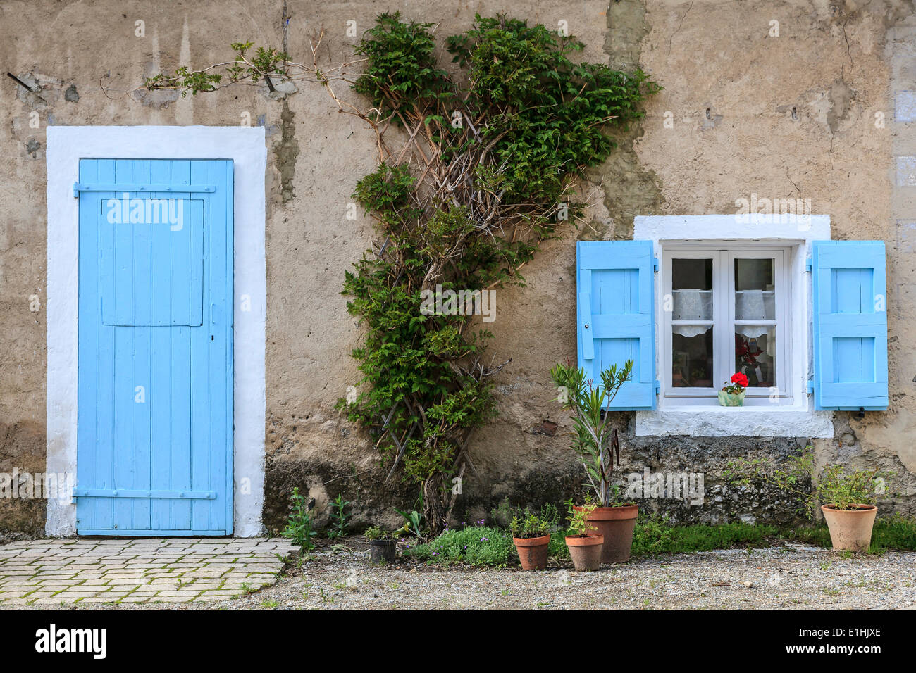 Leichte blaue Tür und Fenster mit hellen blauen Fensterläden, Topfpflanzen, Prébois, Isère, Rhône-Alpes, Frankreich Stockfoto