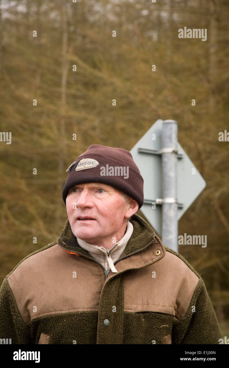 Hill, die Landwirtschaft in Glen Whilly, Dumfries and Galloway, Schottland, Großbritannien Stockfoto