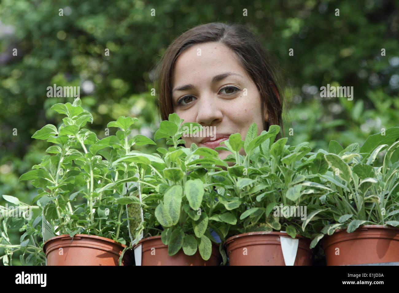 Porträt der jungen Frau mit Seeldings für Gemüsegarten Stockfoto