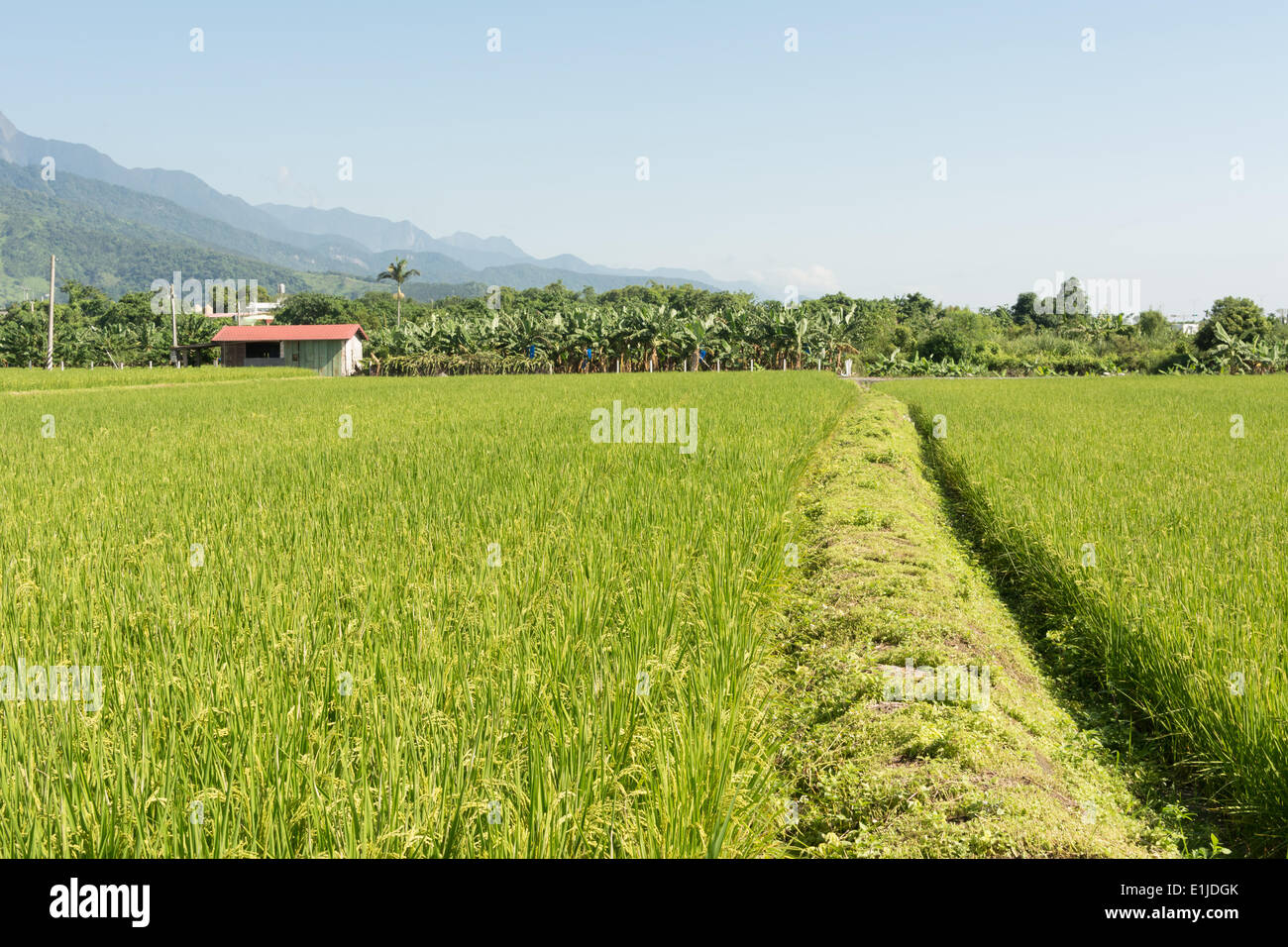 Ländliche Landschaft Stockfoto