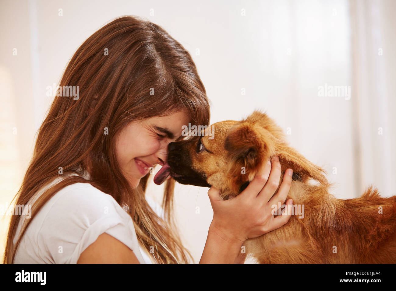 Junge Frau mit Gesicht von Hund geleckt Stockfoto