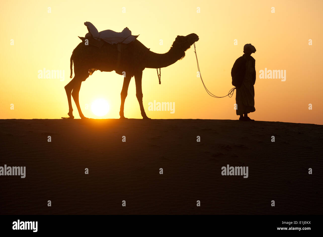 Mann geht mit Kamelen bei Sonnenuntergang in der Wüste Thar, einlaufendes, Indien Stockfoto