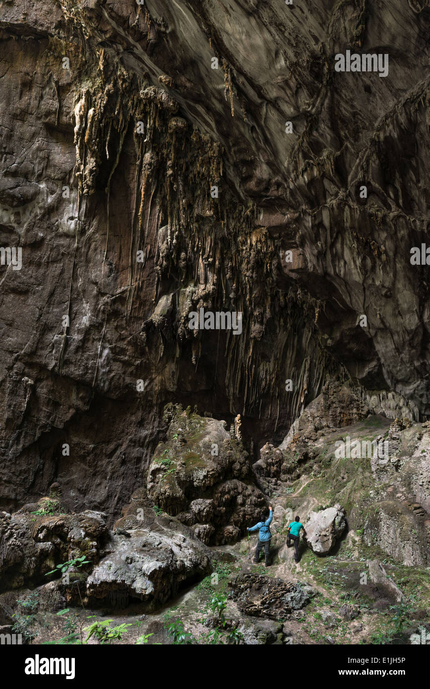 Höhle in den Atlantischen Regenwald von Brasilien Stockfoto