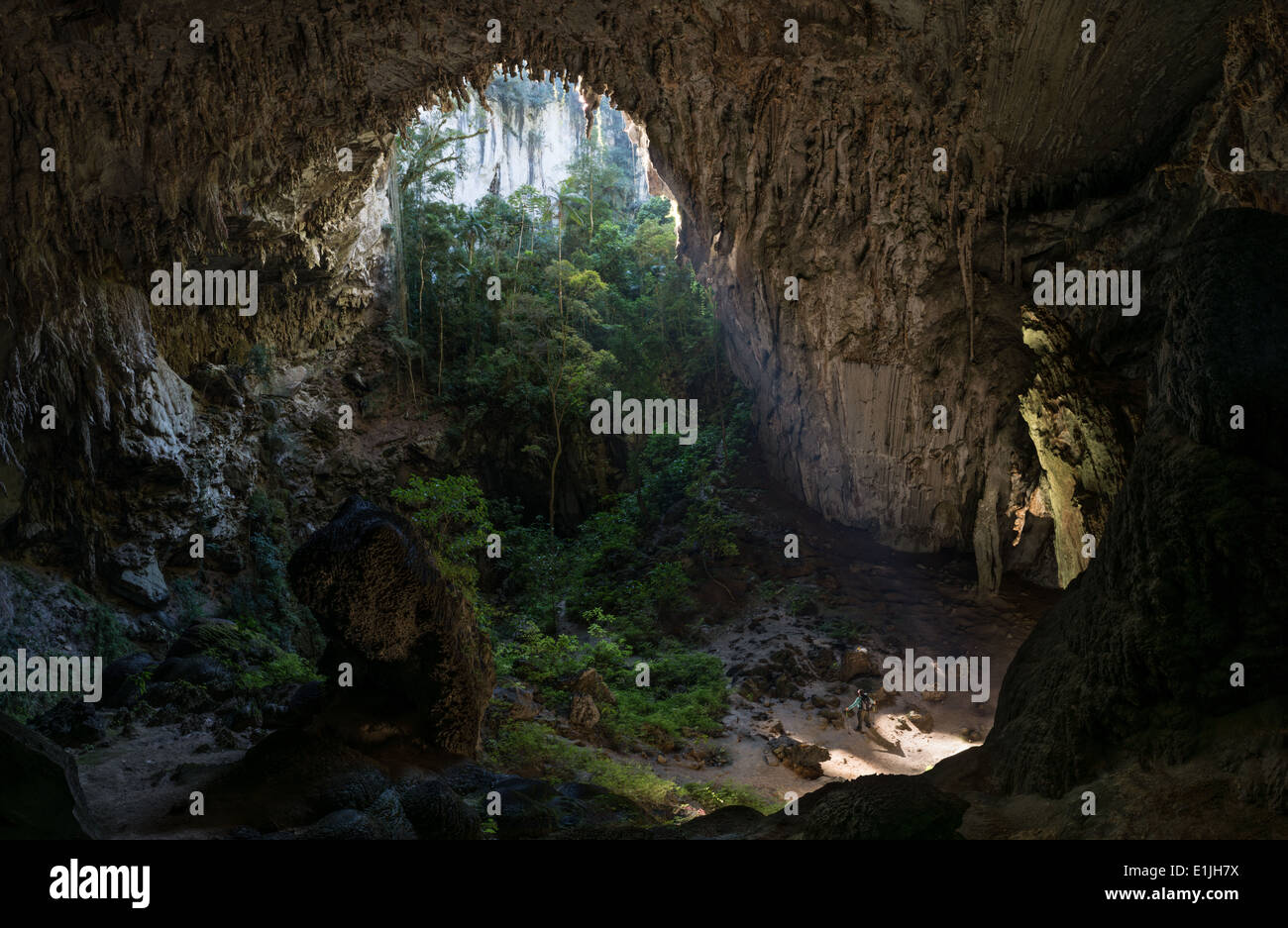 Große Höhle namens Temimina im Atlantischen Regenwald südlich von São Paulo Stockfoto