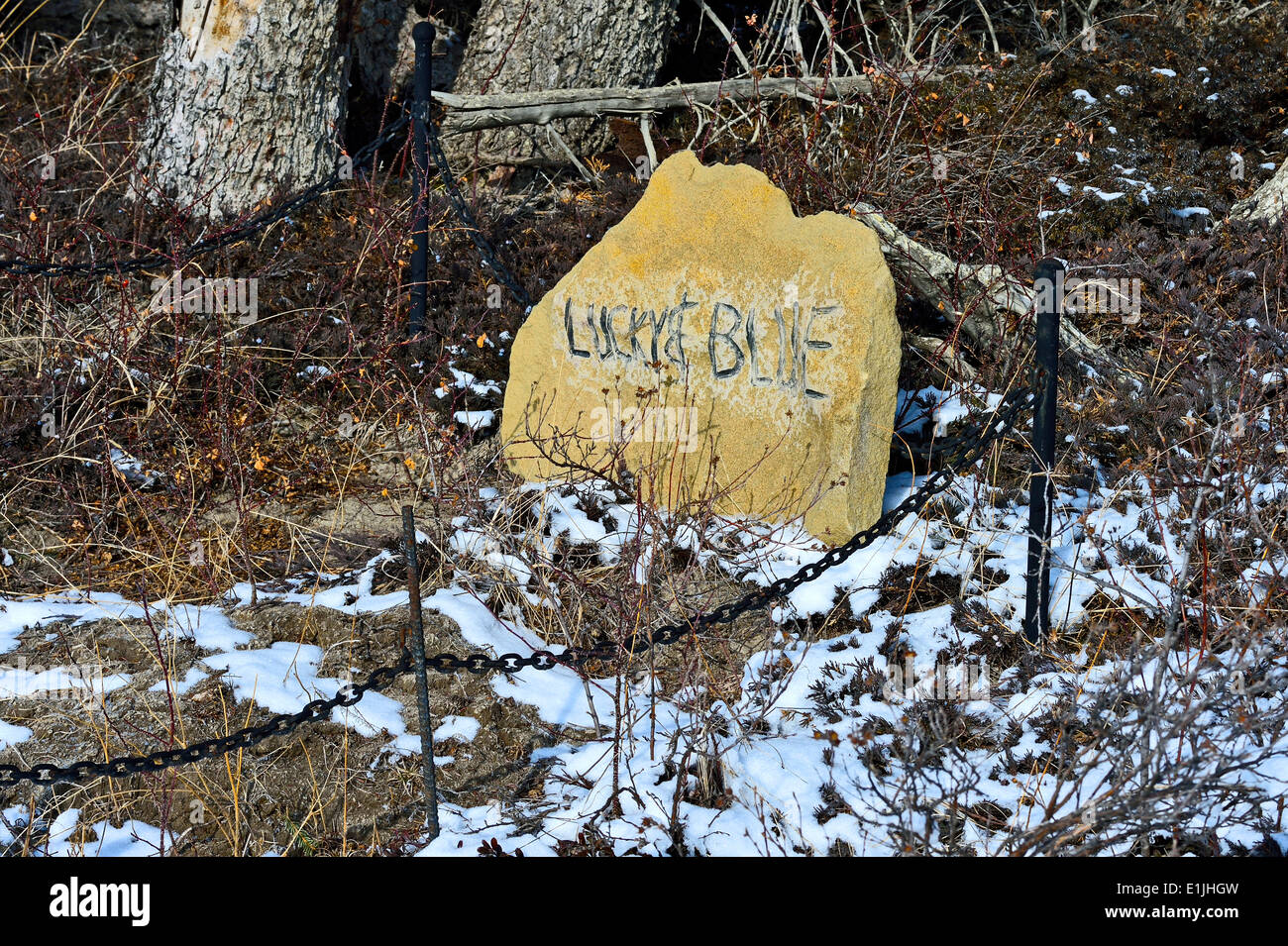 Ein Stein Grab Marker in einem ländlichen Friedhof für Haustiere in westlichen Alberta Kanada Stockfoto