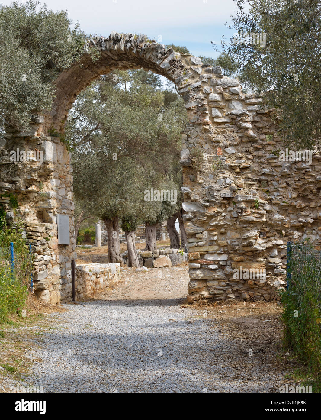 Eingang, Iasos, Türkei 140414 60563 Stockfoto