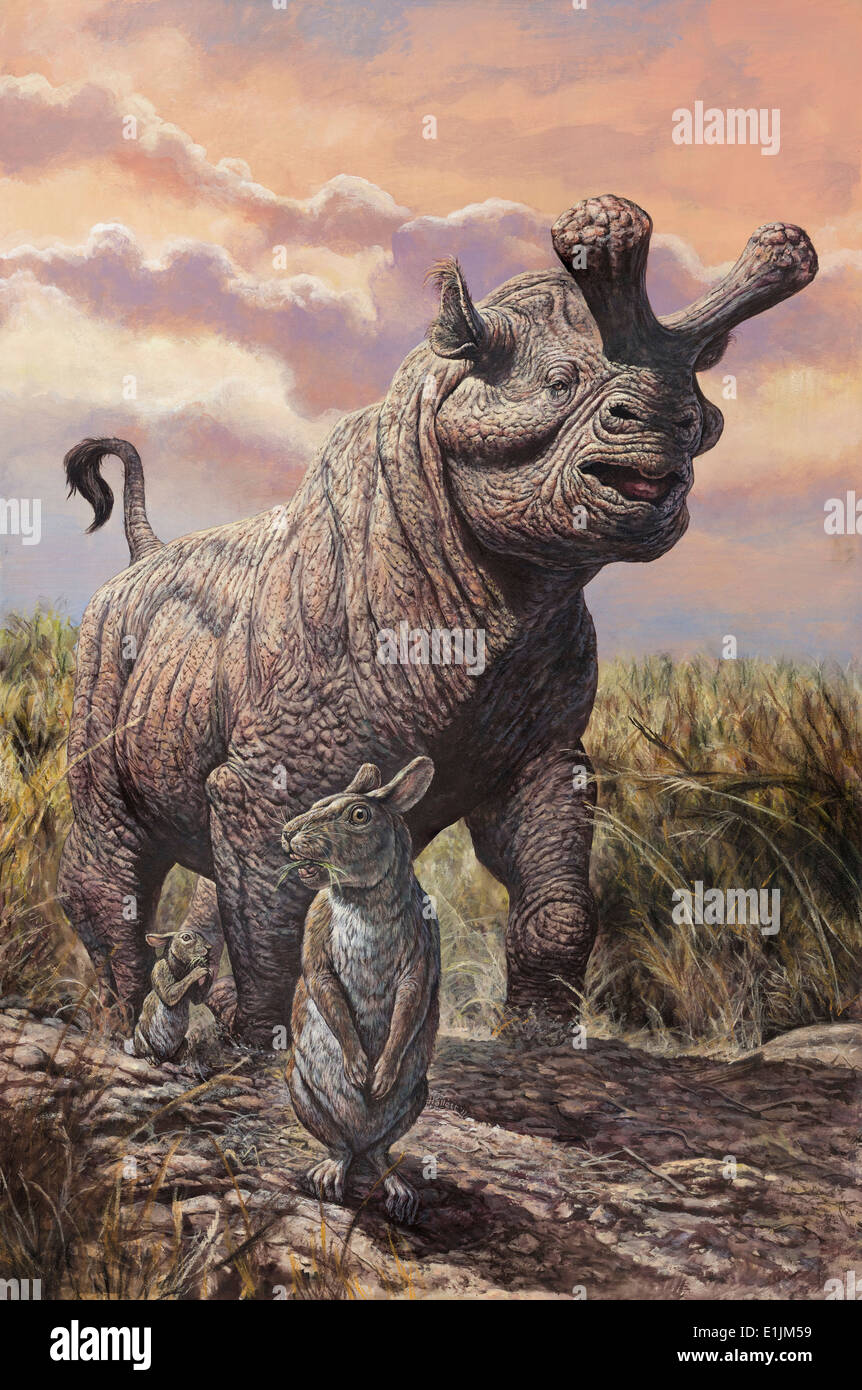 Brontotherien (Titanothere, Hintergrund), Palaeolagus (Kaninchen, Vordergrund), frühen Miozän in Nordamerika. Stockfoto