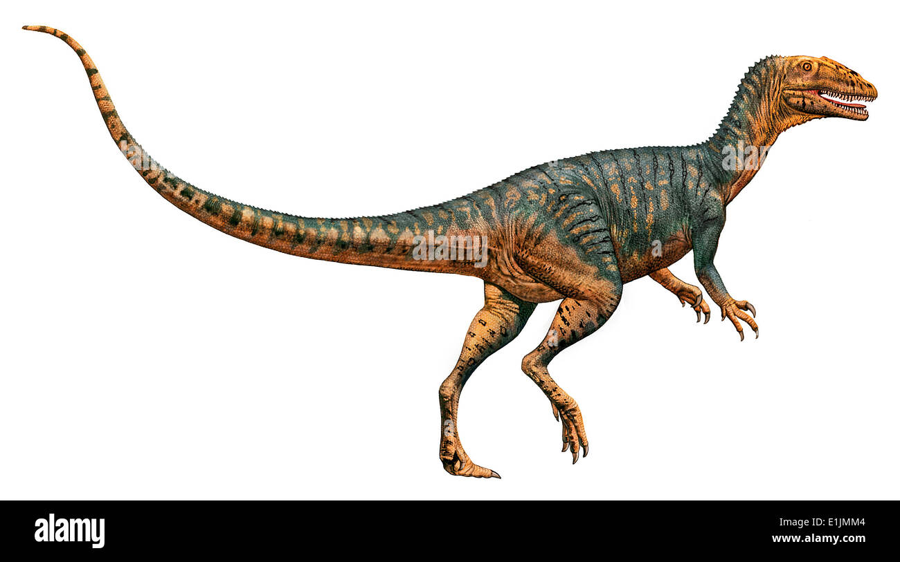 Gojirasaurus Dinosaurier, weißen Hintergrund. Stockfoto