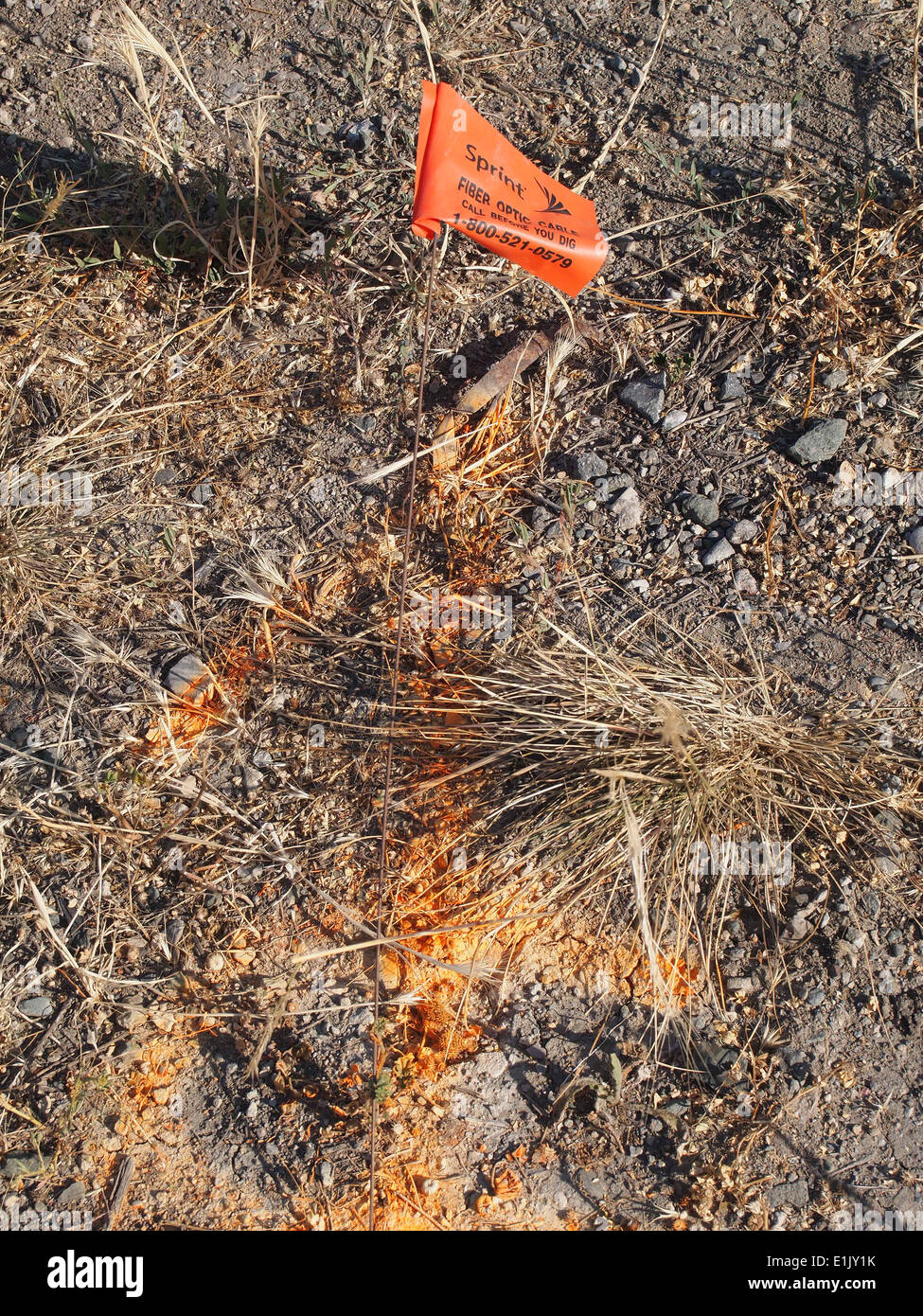 Sprint Warnung begraben lwl-Flagge marker Fremont in Kalifornien Stockfoto