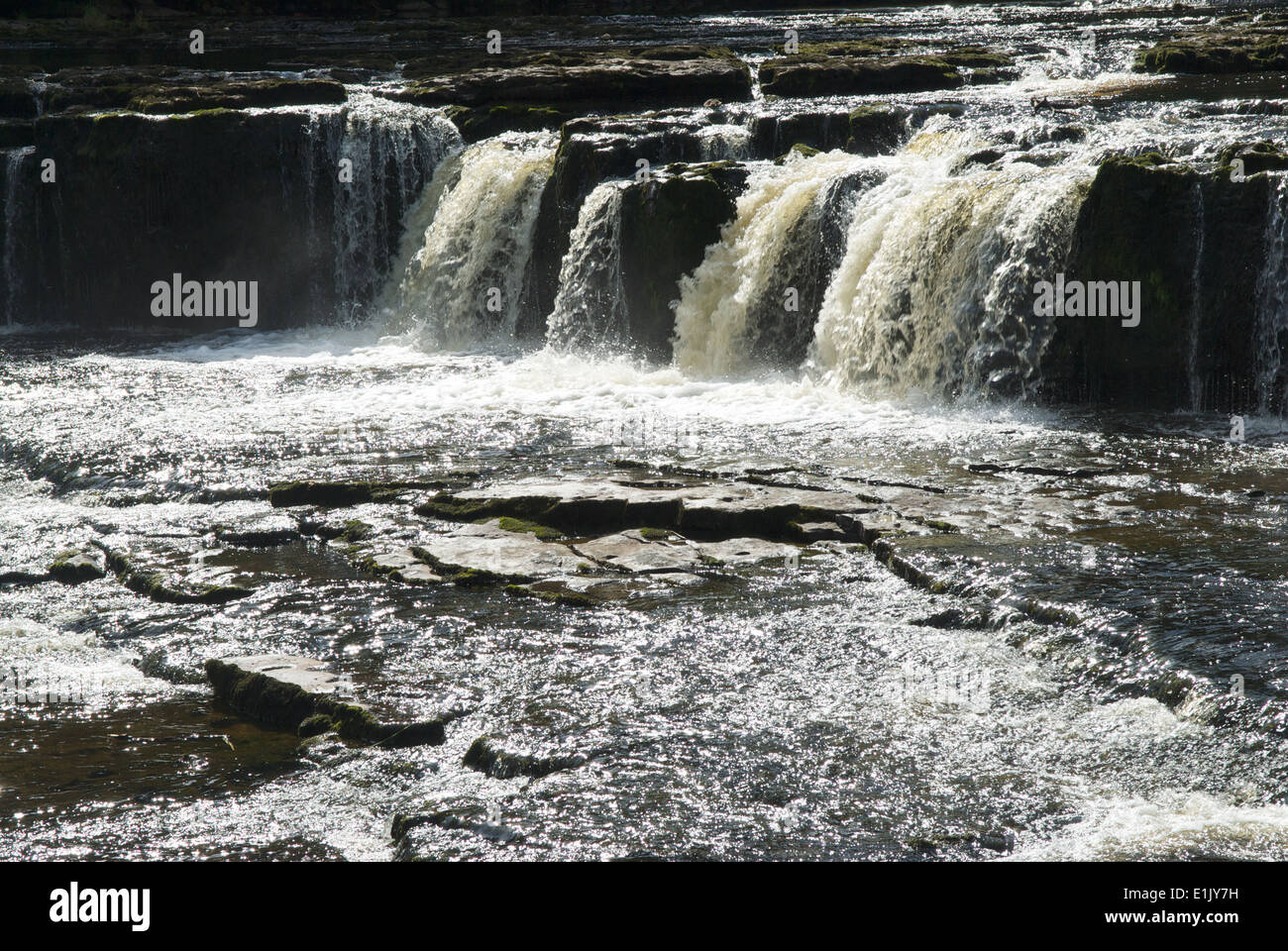 Aysgarth Upper Falls, Yorkshire Dales National Park Stockfoto