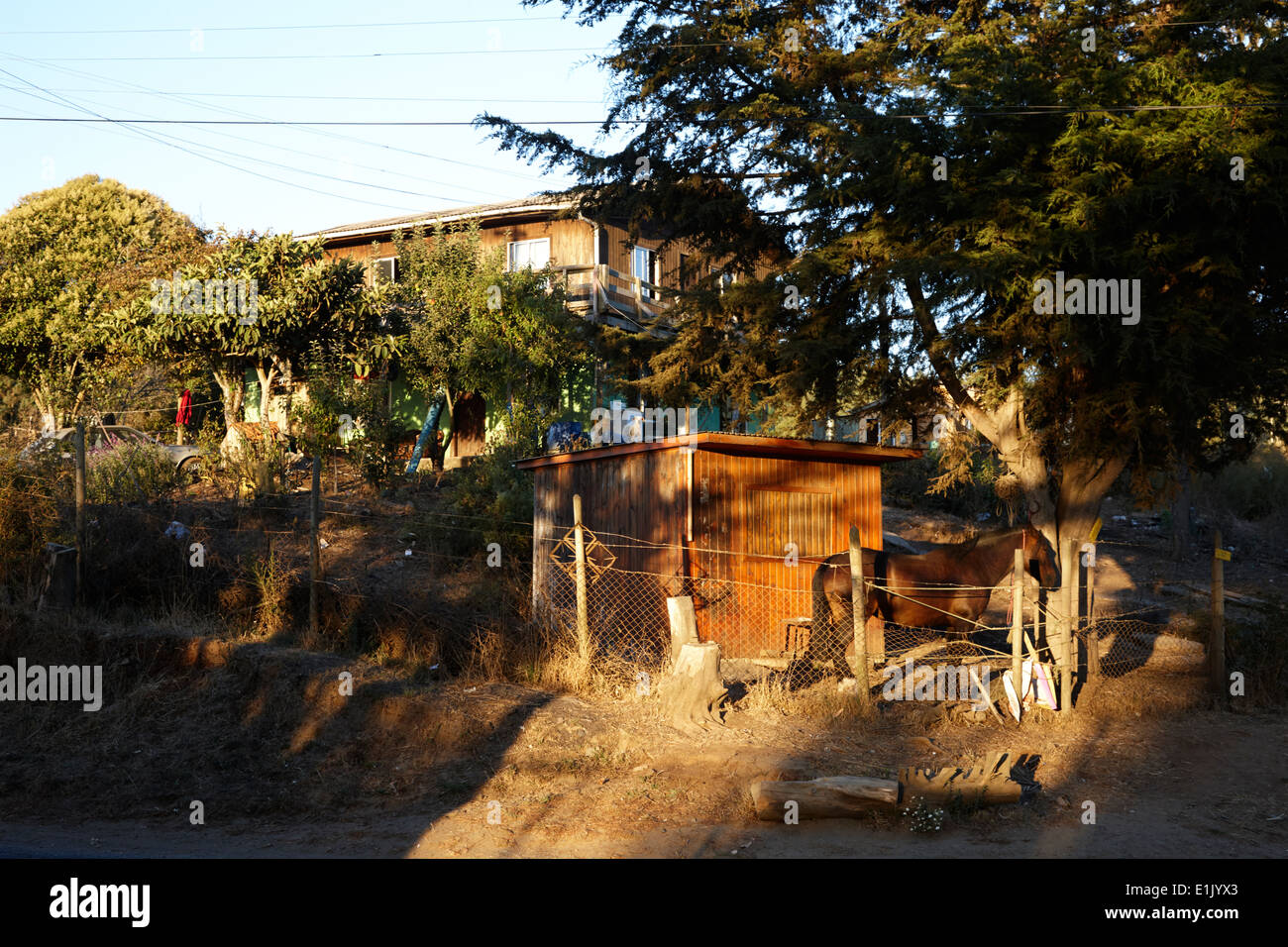 Landhaus-Bauernhof und Pferd in Los Pellines chile Stockfoto