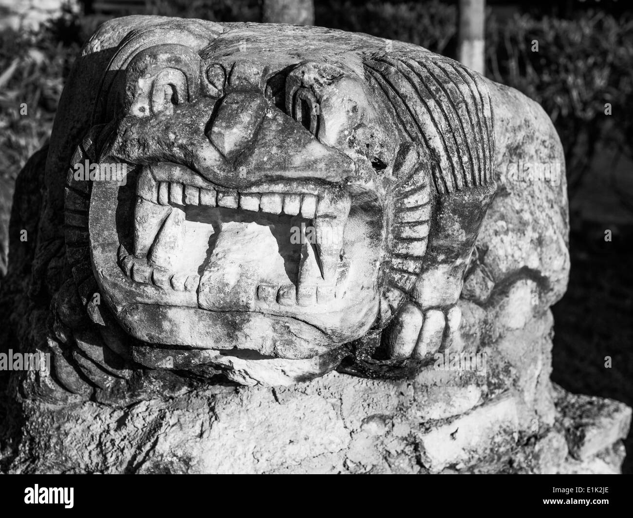 Maya-Stil Skulptur eine knurrende Eidechse im Rathaus der Stadt Tulum. Gegossen Sie Betonskulpturen. Monochrom Stockfoto