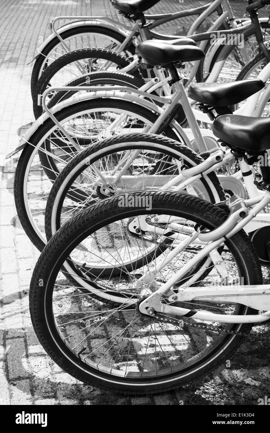 Leihfahrräder stehen hintereinander auf einem Parkplatz Stockfoto