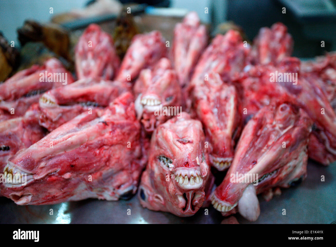 Halal butcher Fotos und Bildmaterial in hoher Auflösung Alamy