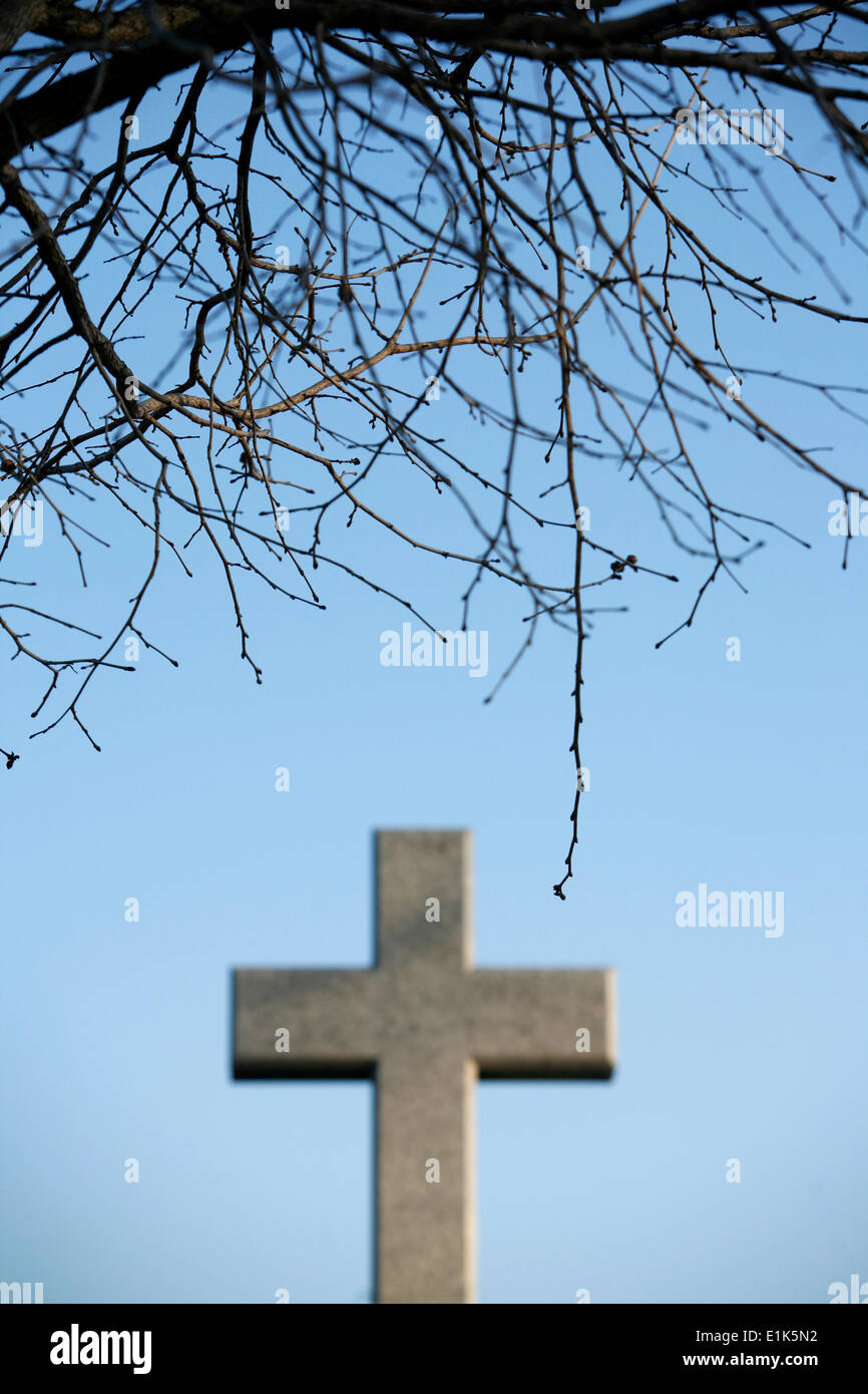 Baum und Kreuz Stockfoto
