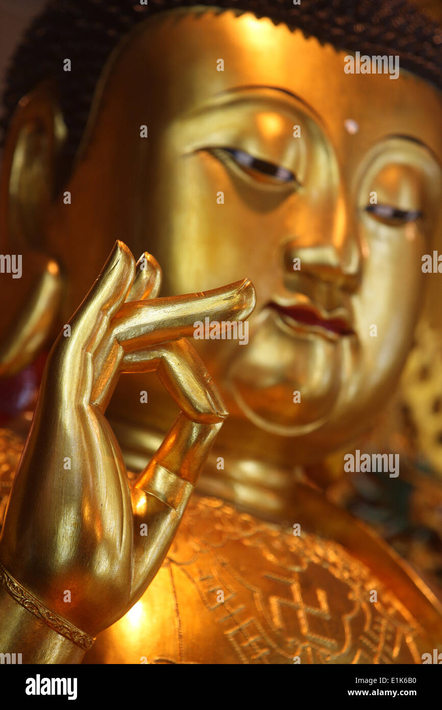 Po Lin Kloster.  Medizin-Buddha-Statue in der Haupthalle. Stockfoto