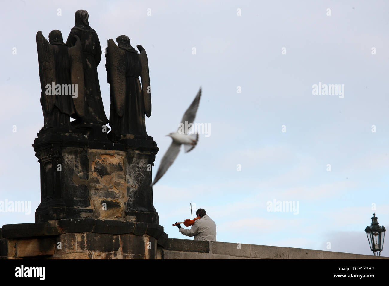 Musiker, Möwe und religiöse Skulptur auf der Karlsbrücke. Stockfoto