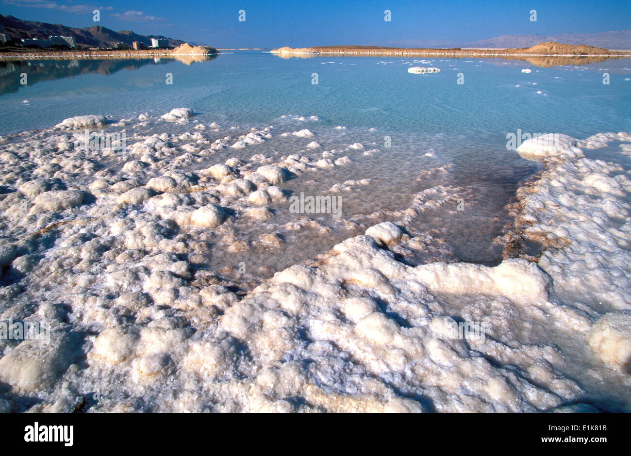 Totes Meer Salz Konkretionen Stockfoto