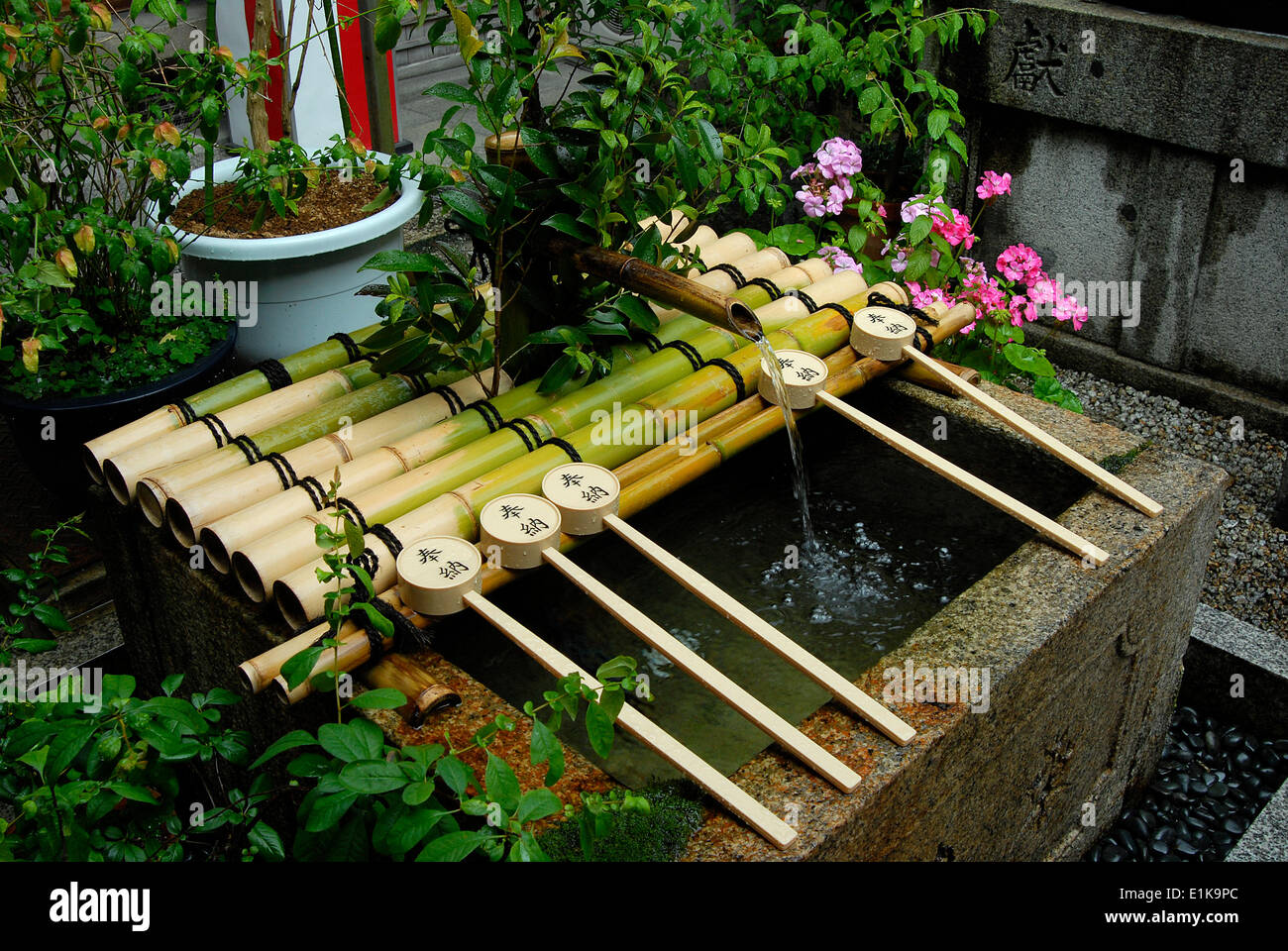 Ablution basin at the entrance of a shinto shrine Stockfoto