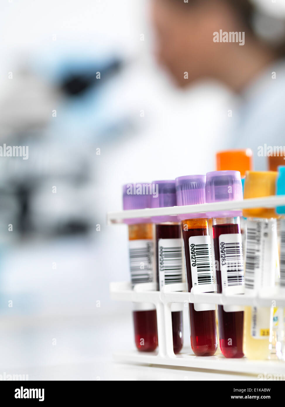 Blutproben im Reagenzglas Rack mit Barcodes. Stockfoto