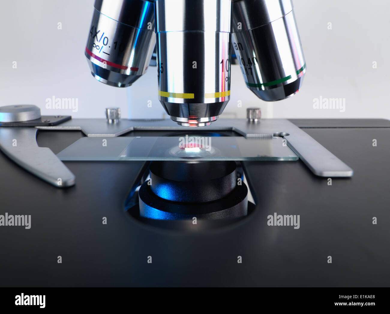 Mikroskop-Objektträger am Mikroskop. Stockfoto
