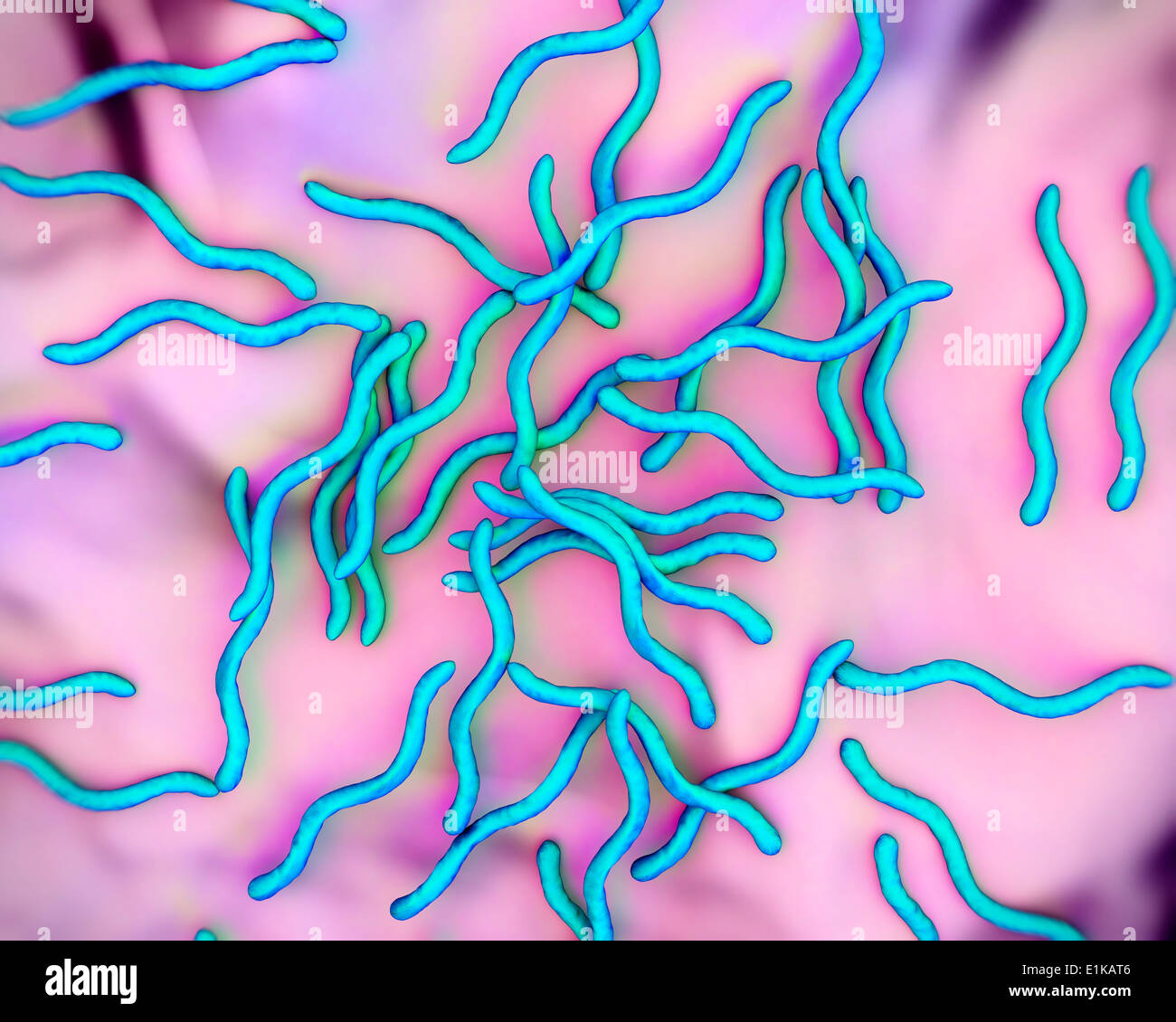 Lyme-Borreliose Bakterien (Borrelia Burgdorferi) Computer Artwork. Stockfoto