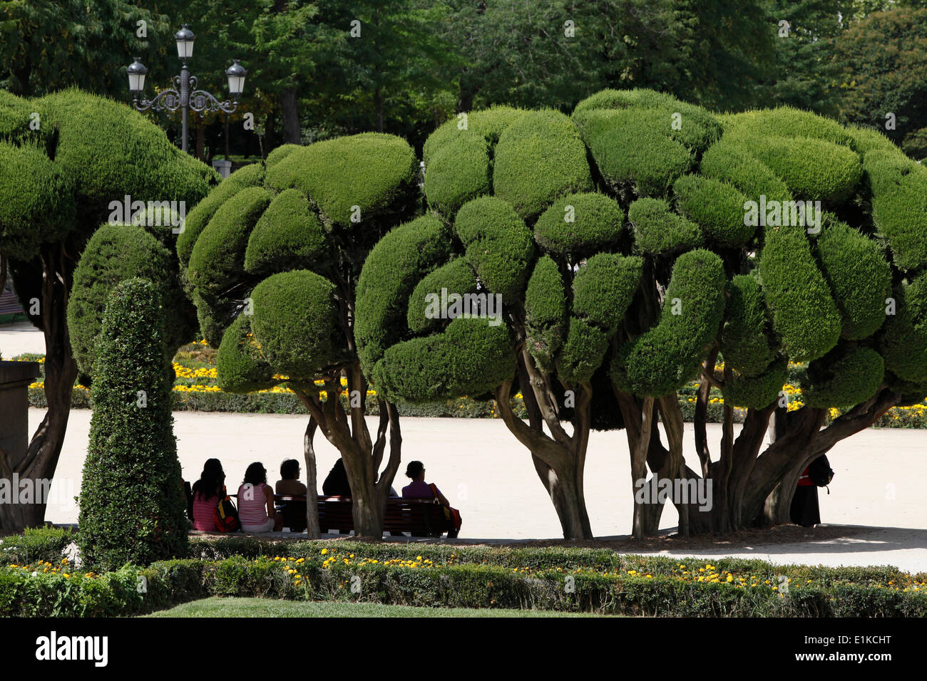 Bäume im Retiro Park Stockfoto