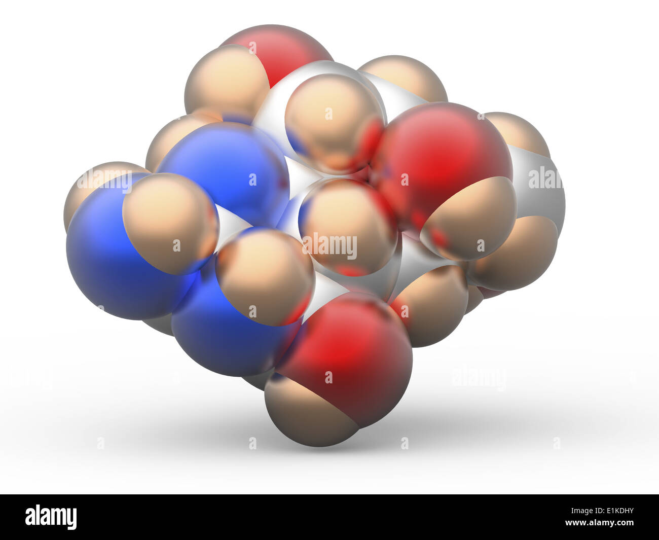 Tetrodotoxin (TTX) Molekülmodell potenten Nervengift ohne Gegenmittel, die in mehreren marinen Arten unter ihnen die Stockfoto