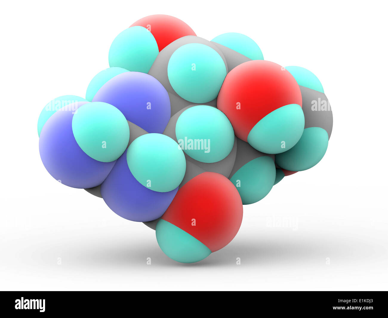 Tetrodotoxin (TTX) Molekülmodell potenten Nervengift ohne Gegenmittel, die in mehreren marinen Arten unter ihnen die Stockfoto