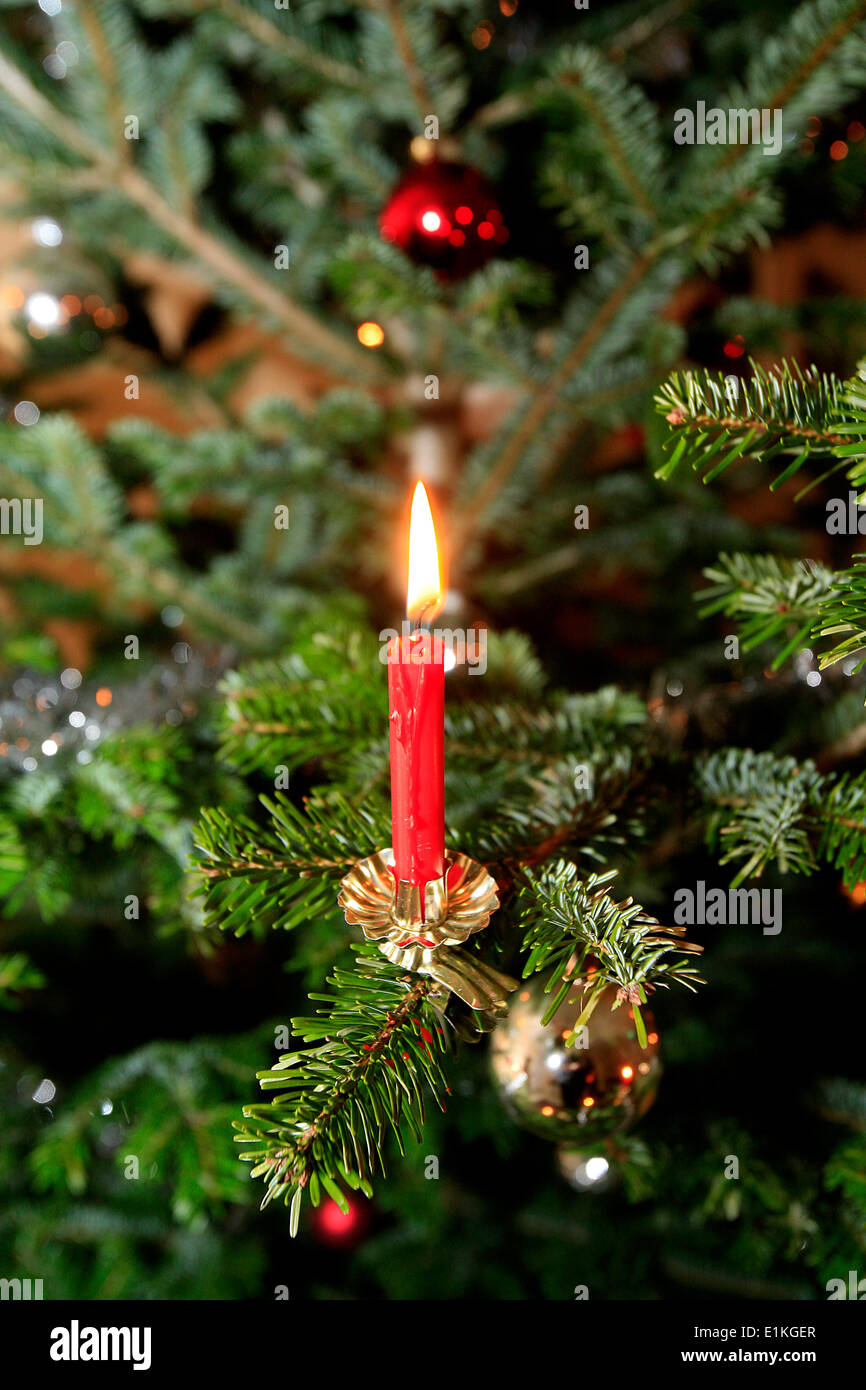 Weihnachtsbaum Stockfoto