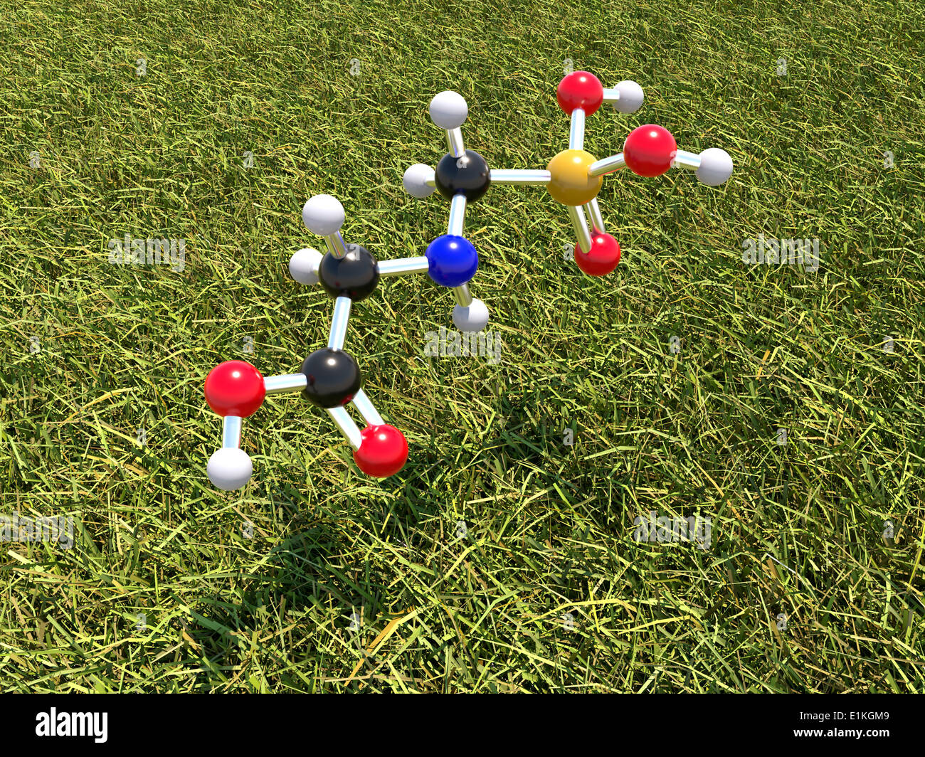 Glyphosat Unkraut killer Molekül Computermodell zeigt die molekulare Struktur eines Moleküls von dem Herbizid Glyphosat Stockfoto