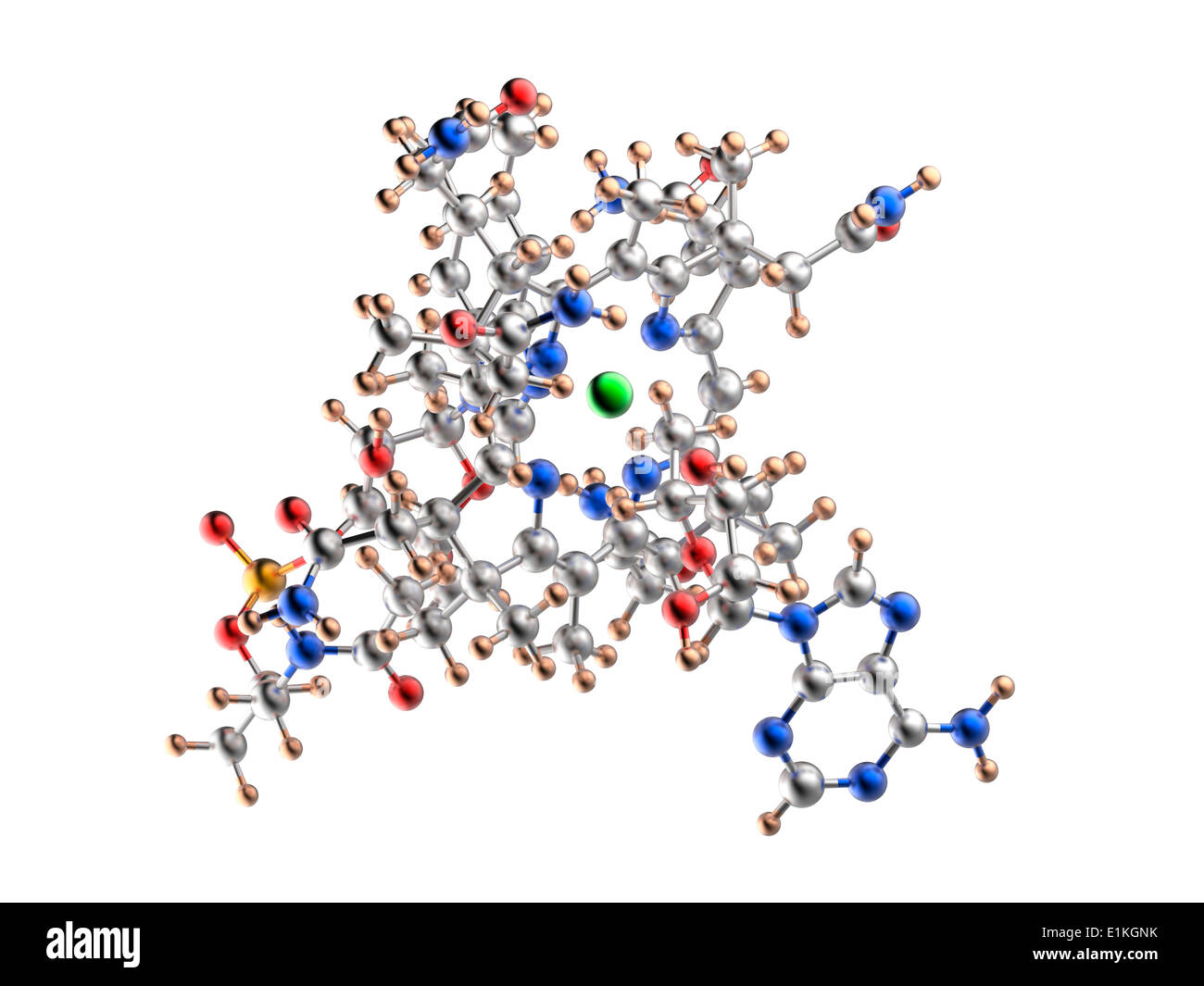 Molekülmodell Vitamin B12 Vitamin B12(cobalamin) ist ein essentieller Nährstoff, den Menschen nicht in der Lage sind zu produzieren und müssen Stockfoto