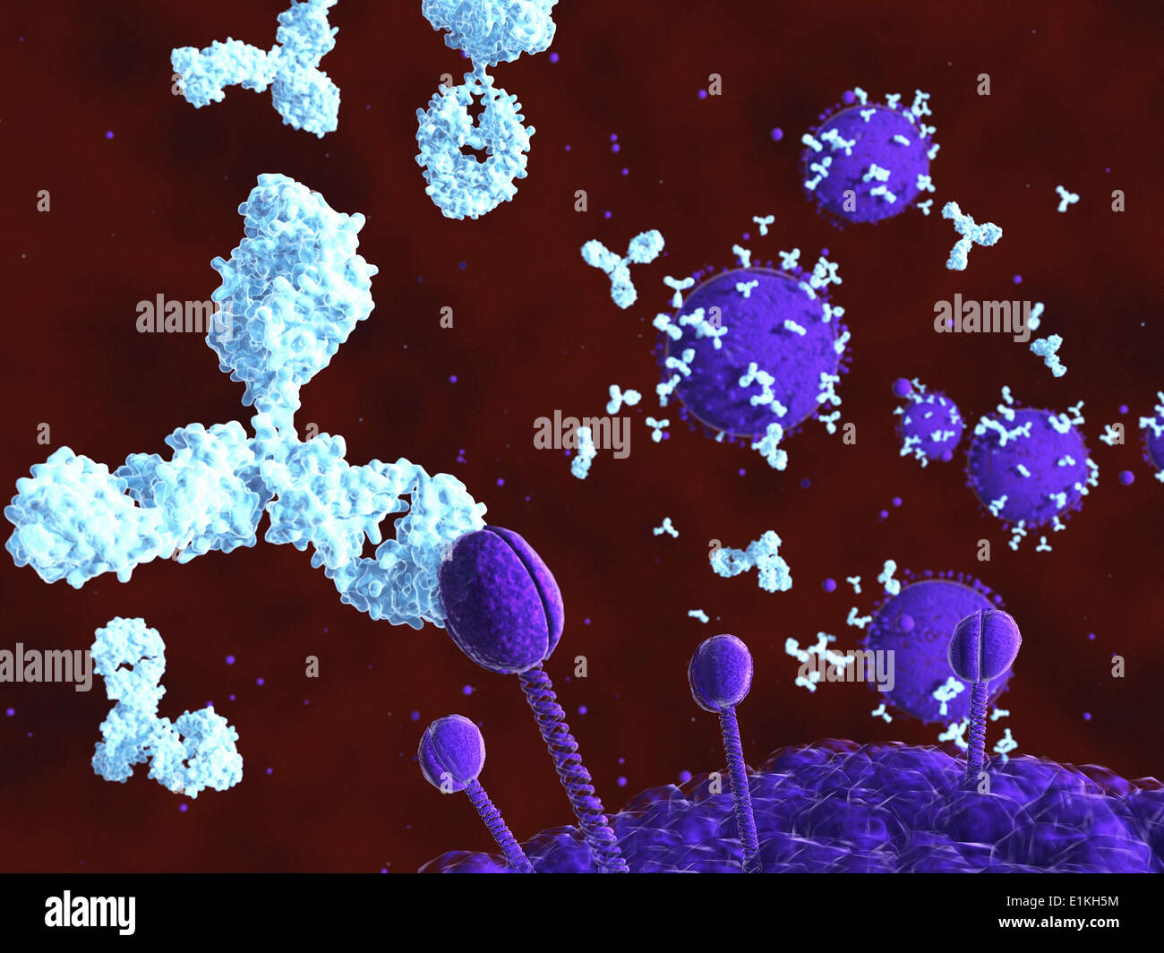 Acquired immunodeficiency syndrome Fotos und Bildmaterial in hoher