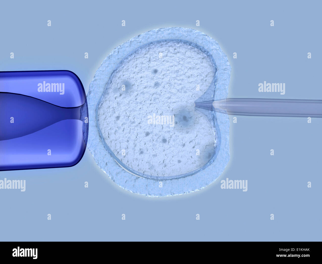 Artwork von in-vitro-Befruchtung. Stockfoto