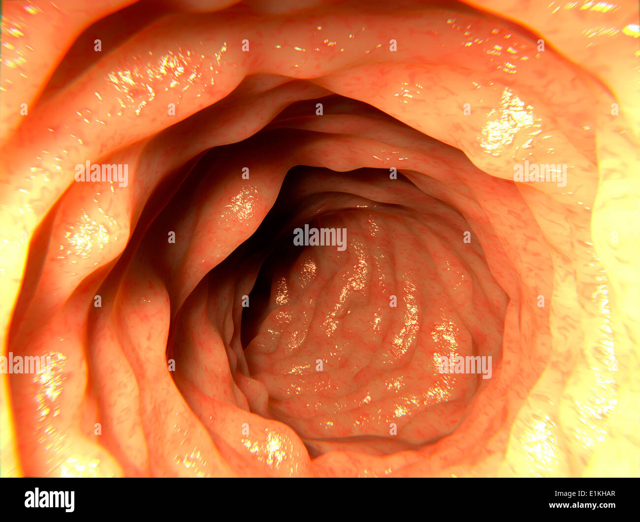 Kunstwerk auf eine endoskopische Bild von einem gesunden Darm. Stockfoto