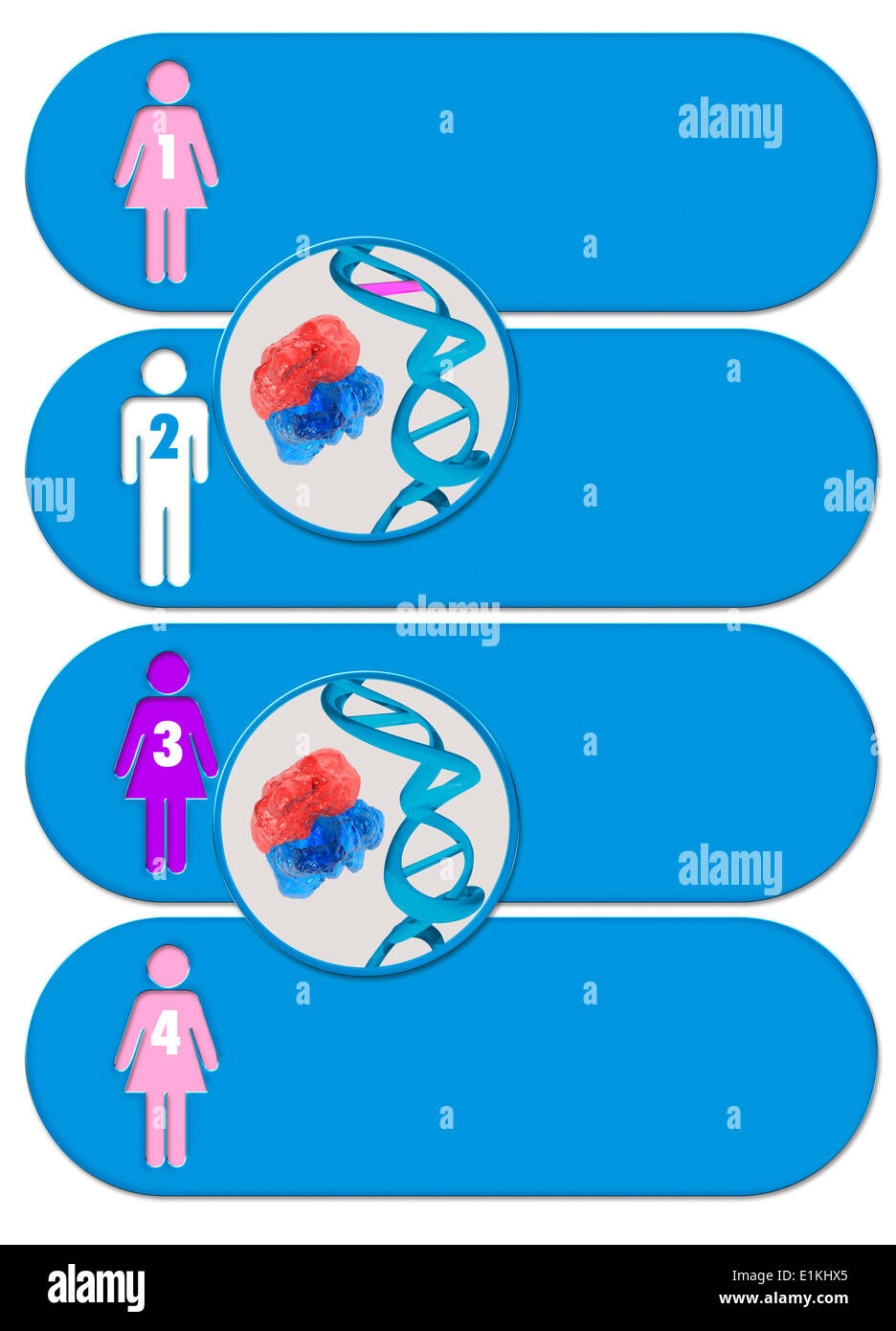 Infografik zeigt den Prozess der drei übergeordneten IVF (in-vitro-Fertilisation) Behandlung. Stockfoto
