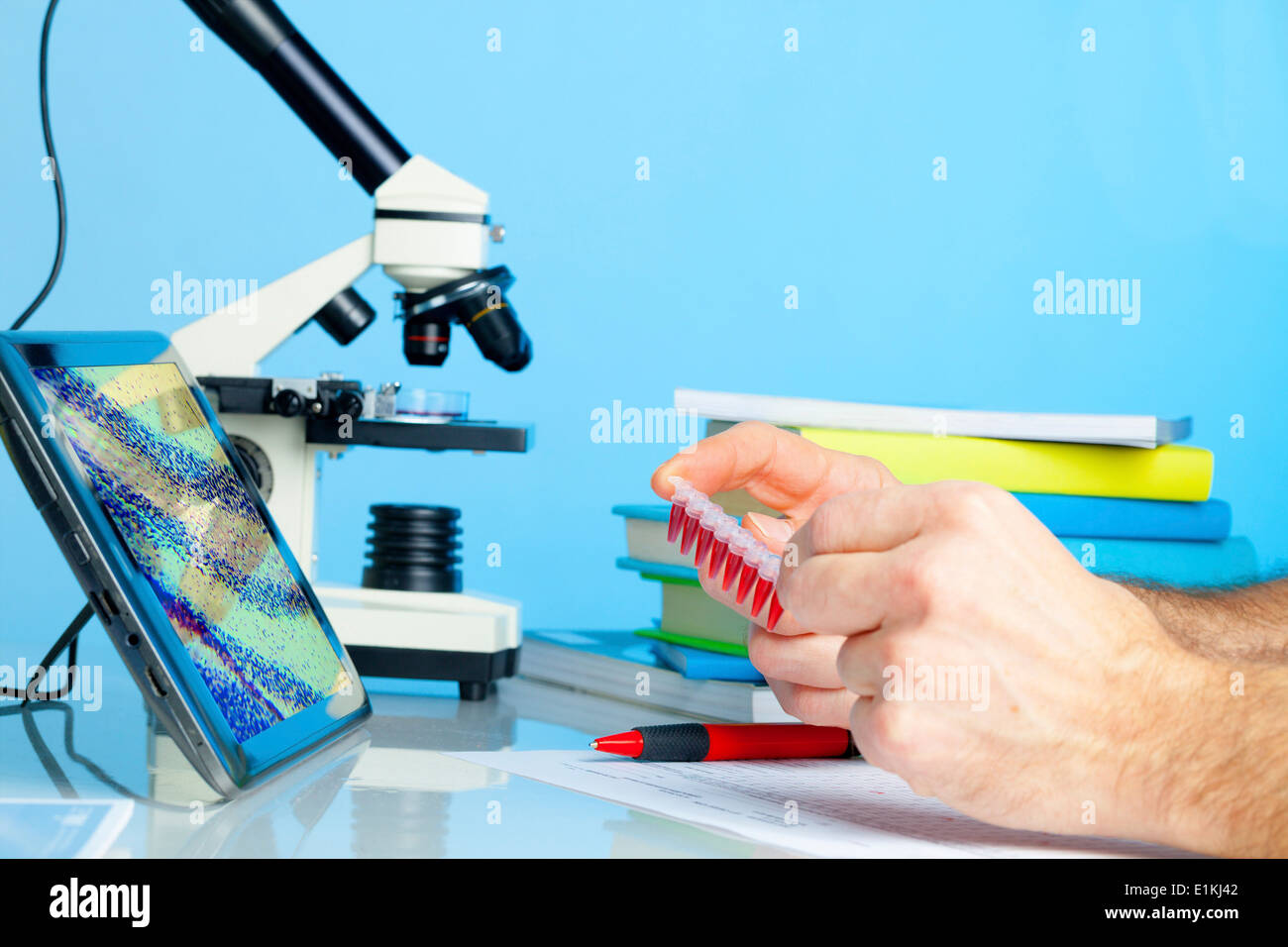 Labortechniker halten Mikroröhrchen mit Blutproben. Stockfoto