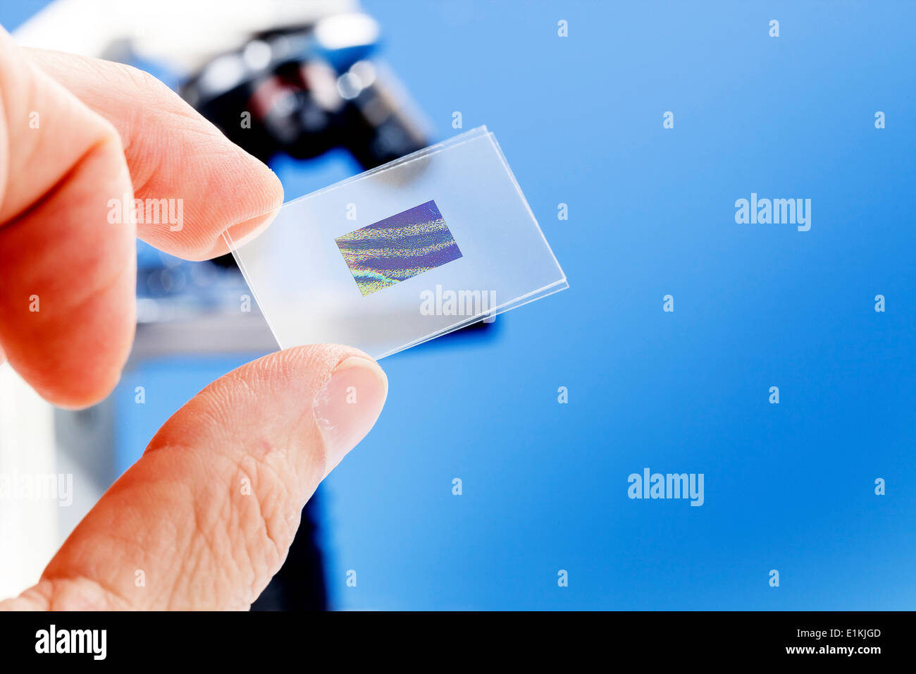 Person, die einen Objektträger mit einer medizinischen Probe. Stockfoto