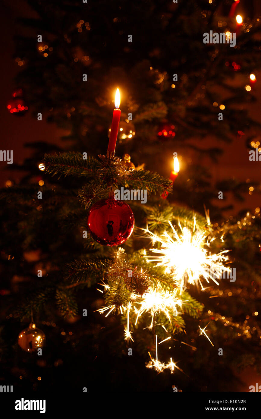 Weihnachtsbaum Stockfoto