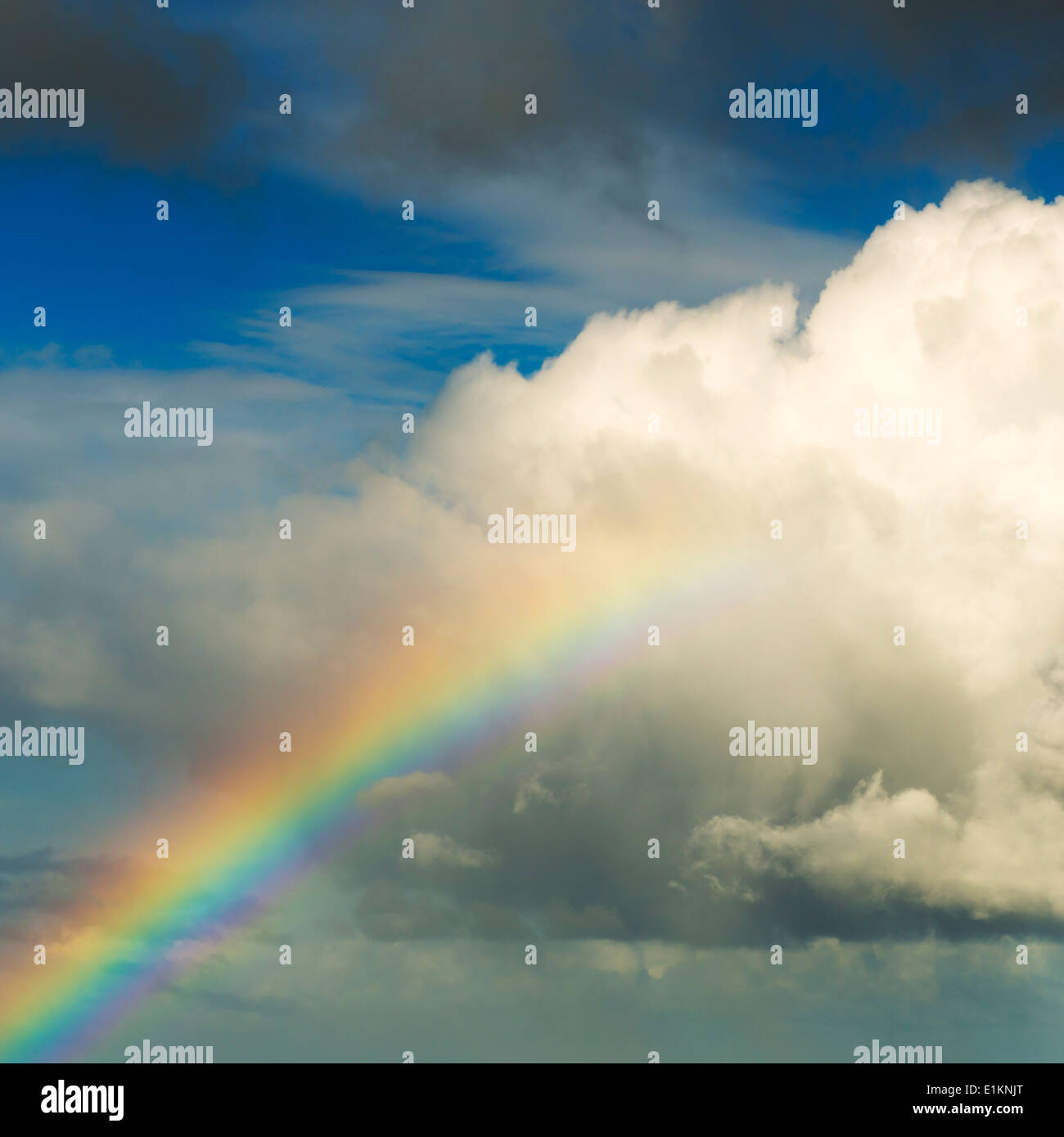 Spektakuläre Regenbogen in leuchtenden Farben, eine riesige weiße Wolke mit blauem Himmel aufsteigen Stockfoto