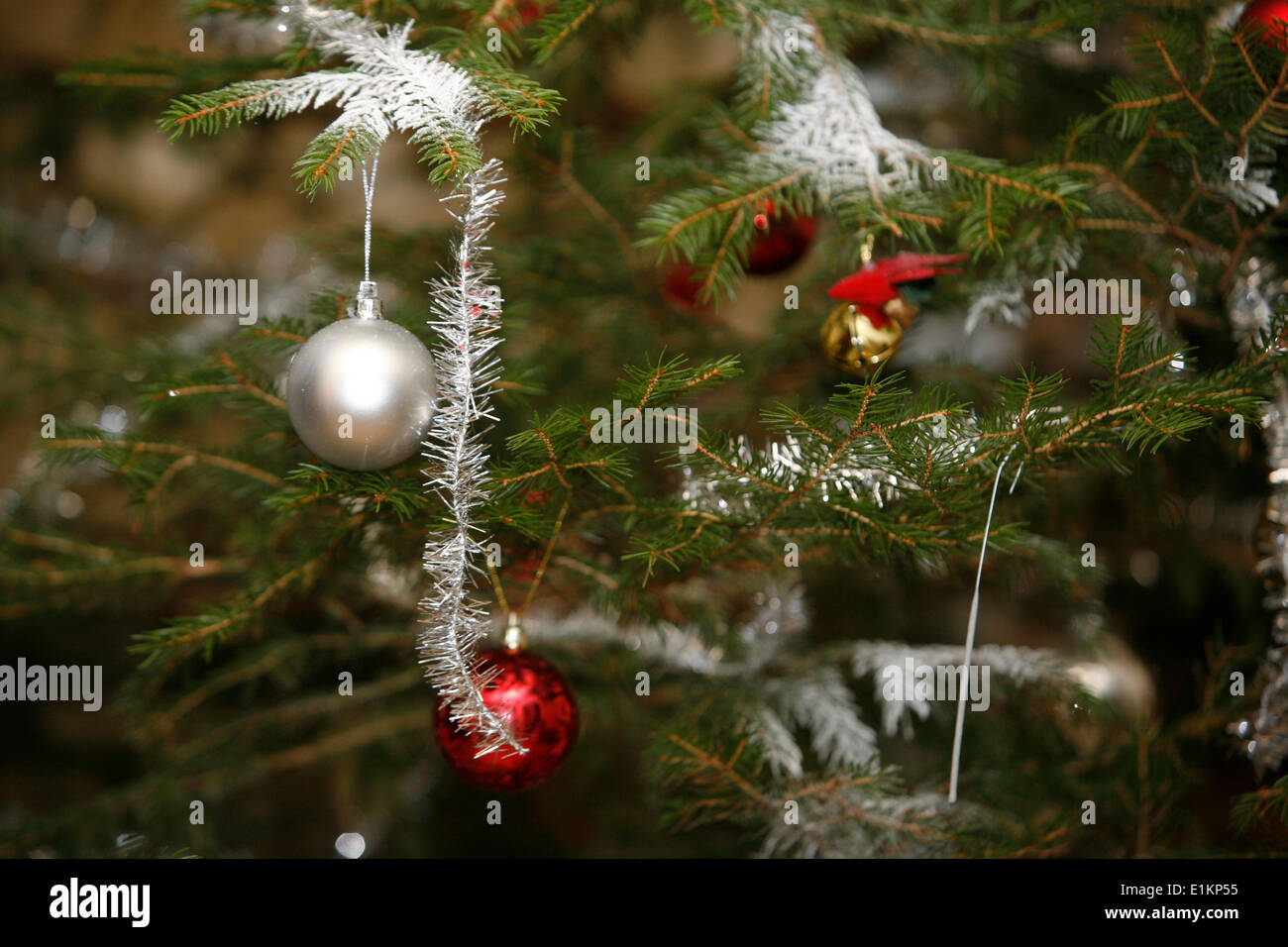 Weihnachtsbaum Stockfoto