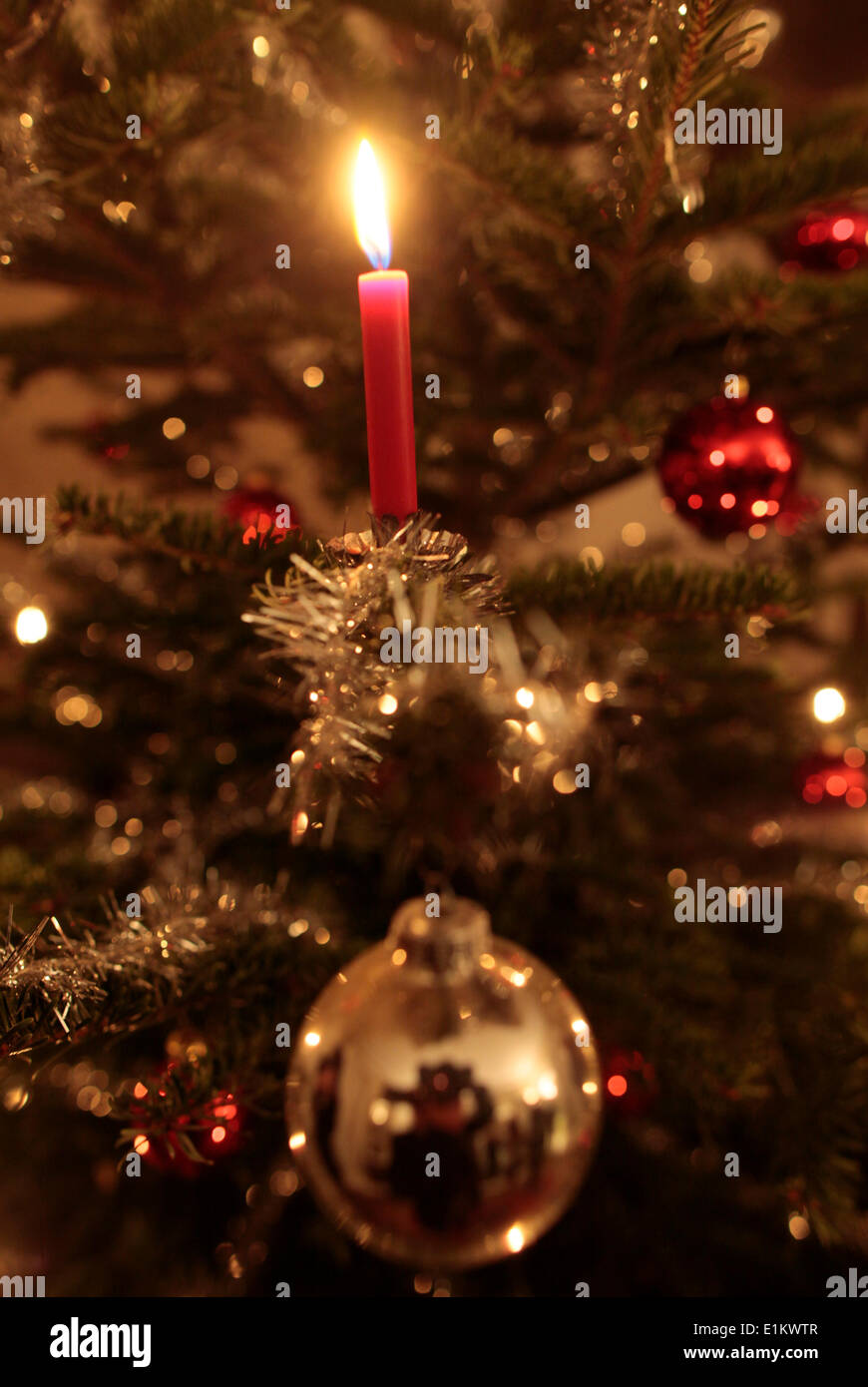 Weihnachtsbaum. Stockfoto
