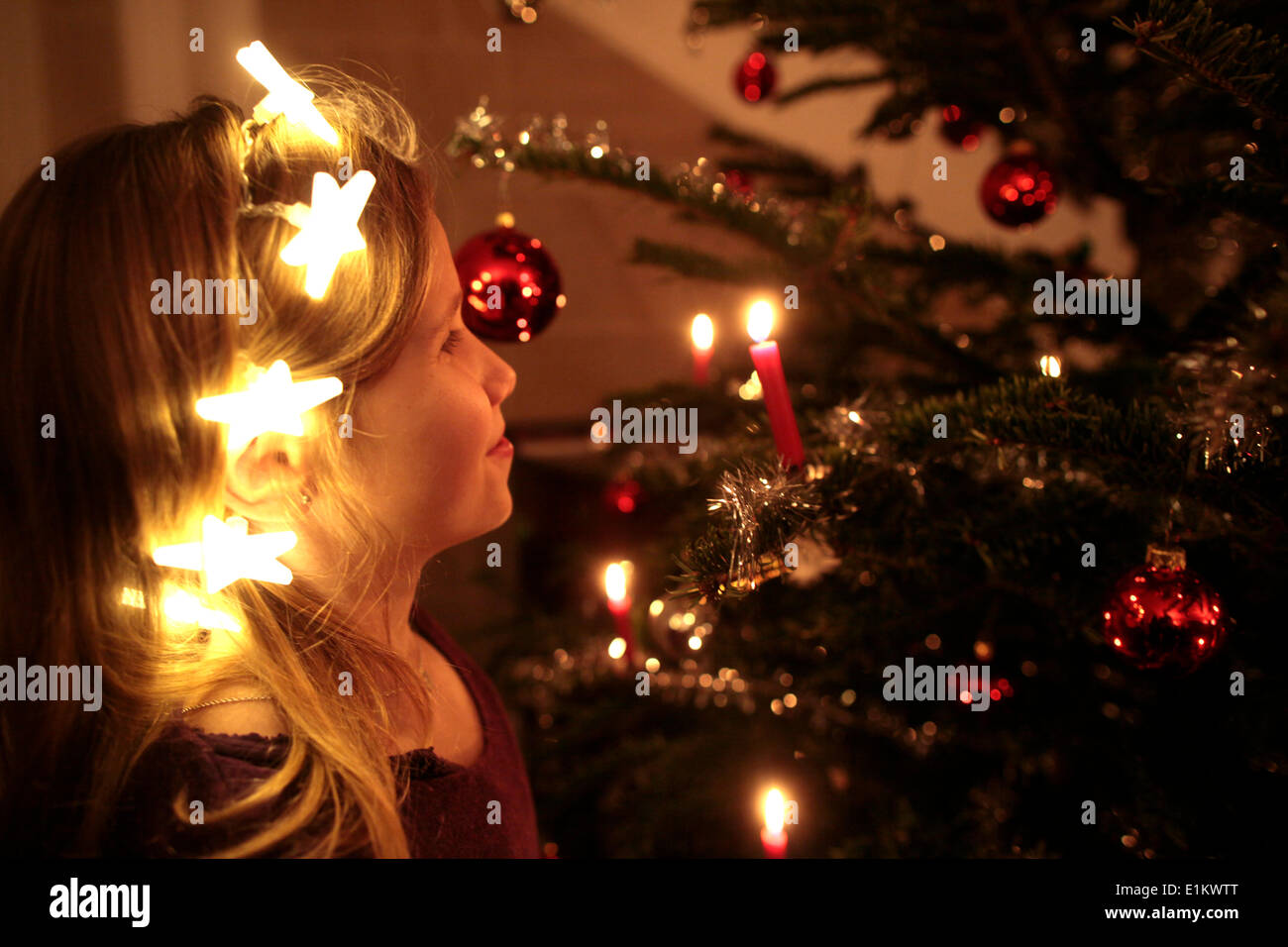 Weihnachtsbaum. Stockfoto