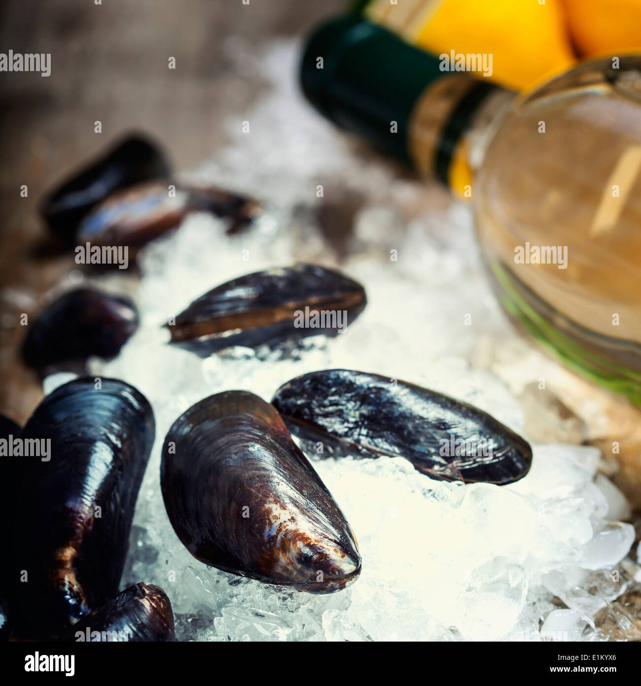 Frische Muscheln auf Eis bereit zum Kochen Stockfoto