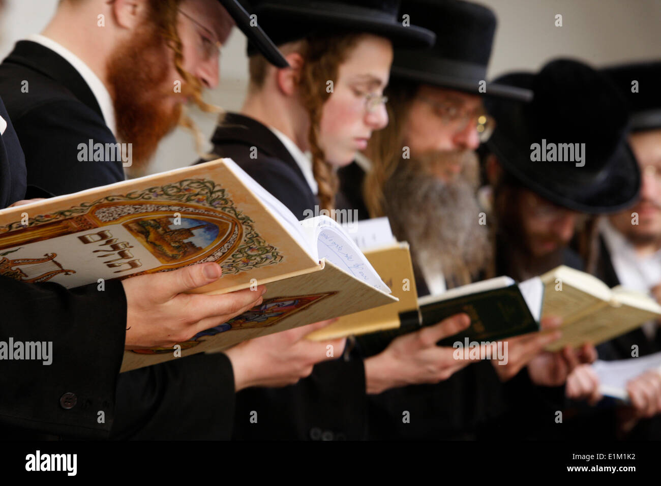 Orthodoxe Lelov Juden in der Synagoge in Hebron, Teil der religiösen Seite bekannte, jüdischen und muslimischen Gläubigen als die T Stockfoto