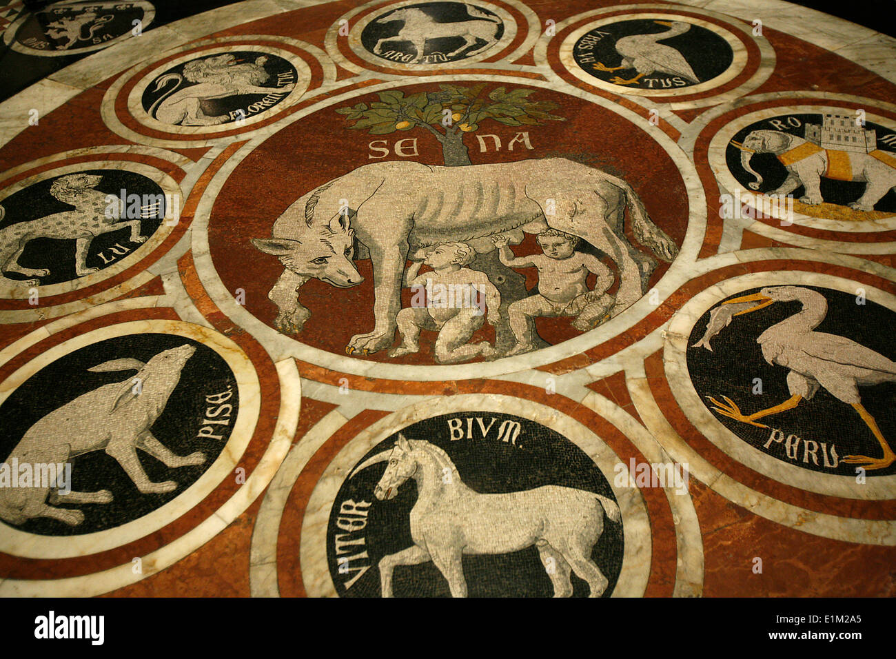 Marmor-Arbeit in Duomo di Siena. Romulus und Remus Stockfoto