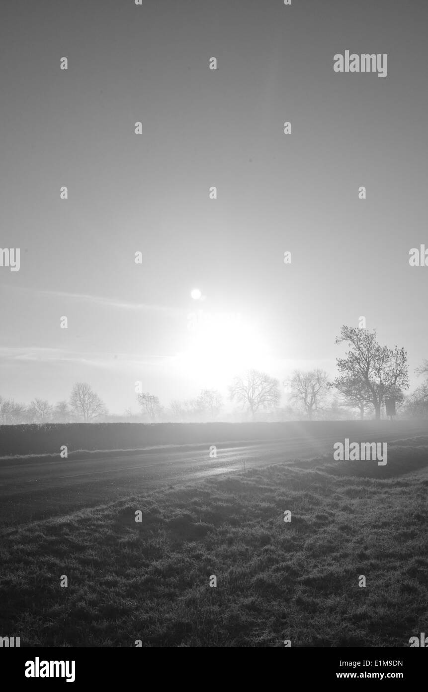 Sonnenaufgang mit Blick auf eine Straße mit geringer Nebel in schwarz / weiß Stockfoto