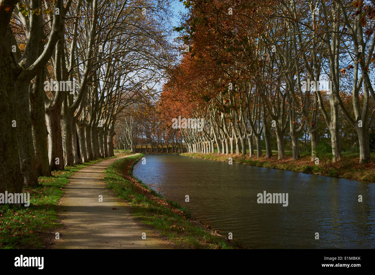 Frankreich, Languedoc-Roussillon, Aude (11), Canal du Midi, Baum gesäumten Kanal Stockfoto